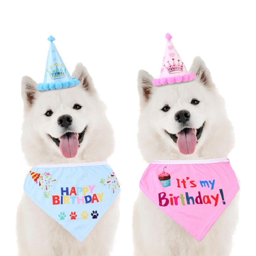 펫코노미 반려동물 생일파티 고깔콘 모자 + 턱받이 세트